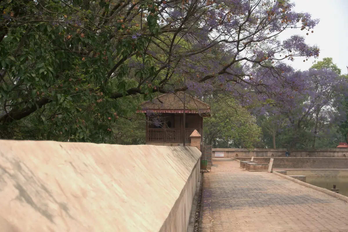 Plantation around rani pokhari of bhaktapur